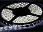 Лента LED LS607/LED-RL 30SMD(5050)/m 7.2W/m 12V 5m*10*0.22mm белый на белом IP65 (блистер)