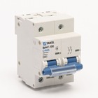 Автоматичний вимикач ВА47-100-C 10кА 2Р 100А TAKEL