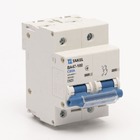 Автоматичний вимикач ВА47-100-C 10кА 2Р 80А TAKEL
