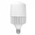 LED лампа VIDEX A145 100W E40 5000K